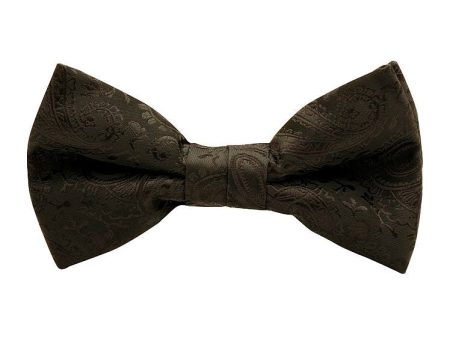 BOW TIE W  HANK   PAISLEY BOW TIE Online now