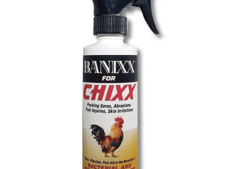 Banixx For Chixx First Aid Spray - 8 oz. Online