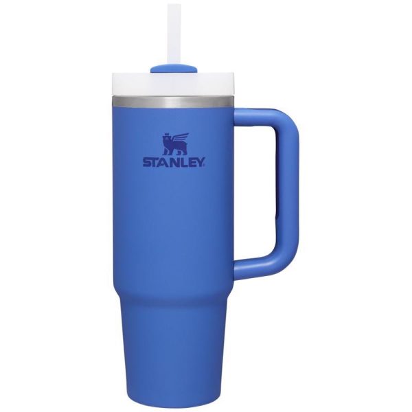 Stanley Quencher H2.0 Insulated Tumbler - 30 oz. Hot on Sale