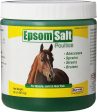 Durvet Epsom Salt Poultice - 20 oz. on Sale