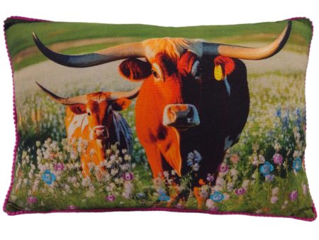 Embroidery Accent Longhorn Cow Pillow - 14  x 22  Online Sale