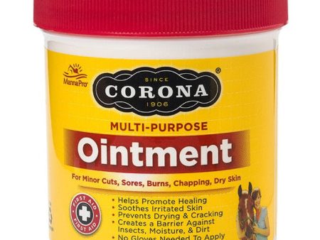 Corona Multipurpose First Aid Ointment - 14 oz. Online