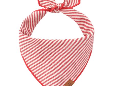 Foggy Dog Cotton Bandana - Red Stripe Supply