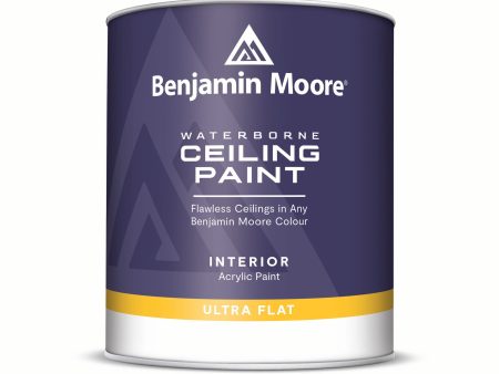 Waterborne Ceiling Paint 508 Cheap