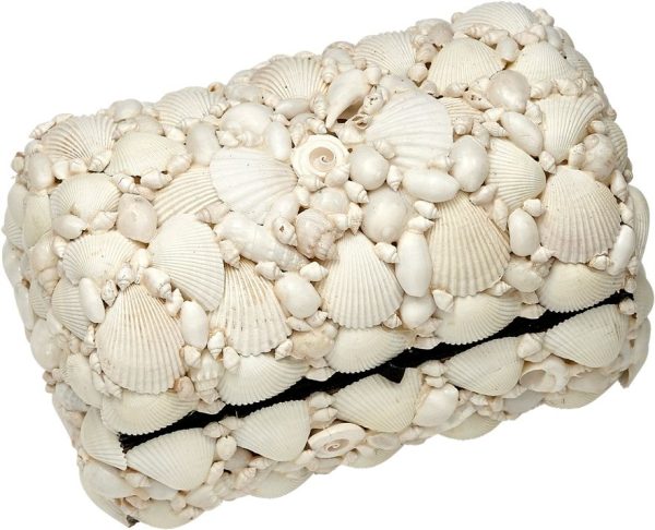 Seashell Treasure Box - 6.5  x 10  on Sale