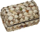 Seashell Treasure Box - 6.5  x 10  on Sale