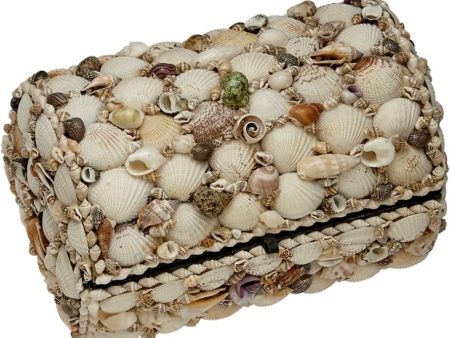 Seashell Treasure Box - 6.5  x 10  on Sale