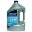 Quicksilver 25W-40 4-Cycle Engine Oil - Gallon Online now