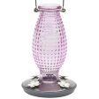 Perky-Pet Cranberry Antique Glass Bottle Hummingbird Feeder - 16 oz. Discount