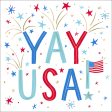 YAY USA  Patriotic Cocktail Napkins - 20 pc. Fashion