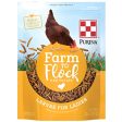 Purina Farm to Flock Larvae Hen Treats - 3 lb. Supply