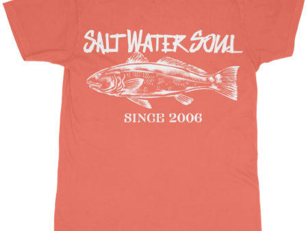 Salt Water Soul Dyed T-Shirt - Redfish Sale