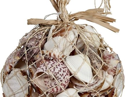 Assorted Seashells in Abaca Net Bag - 1 kg. Online Sale