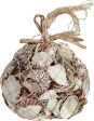 Assorted Seashells in Abaca Net Bag - 1 kg. Online Sale