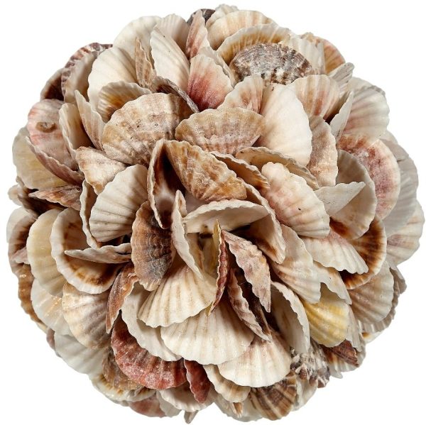 Mixed Pecten Shell Orb on Sale