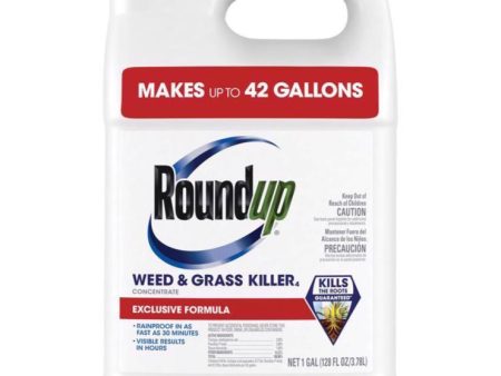 Roundup Weed & Grass Killer Concentrate - 1 gal. Online Hot Sale