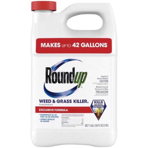 Roundup Weed & Grass Killer Concentrate - 1 gal. Online Hot Sale