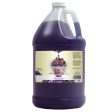 Sno-Kone Shaved Ice Flavoring Syrup - 1 Gal. Fashion