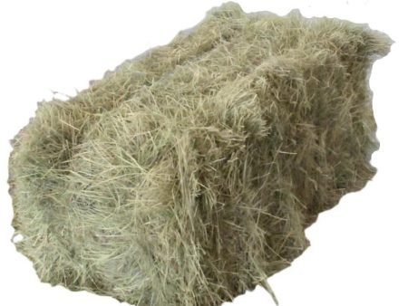 Coastal Bermudagrass Hay Bale - 32  x 14  x 18  on Sale