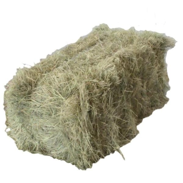 Coastal Bermudagrass Hay Bale - 32  x 14  x 18  on Sale