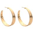 Wide Gilded Hoop Earrings For Sale