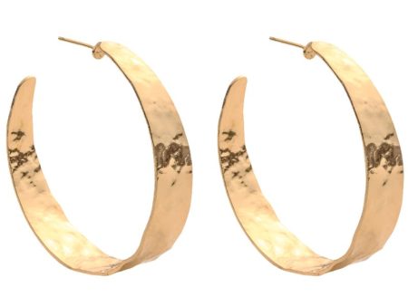 Wide Gilded Hoop Earrings For Sale