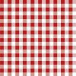 Taverna Red Picnic Pattern Paper Cocktail Napkins - 40 pc. Fashion